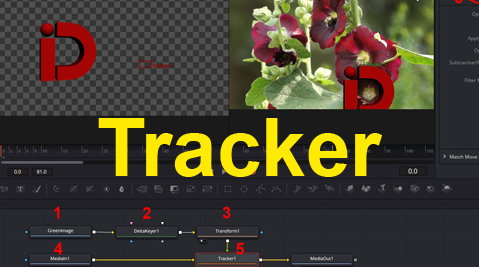 Resolve_49_Tracker